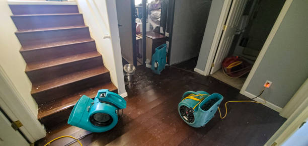 Best Commercial water damage restoration  in Terryville, NY