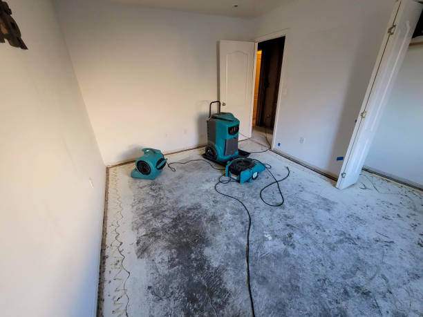 Best 24/7 water damage repair  in Terryville, NY