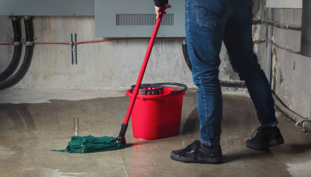 Best Local water damage restoration  in Terryville, NY