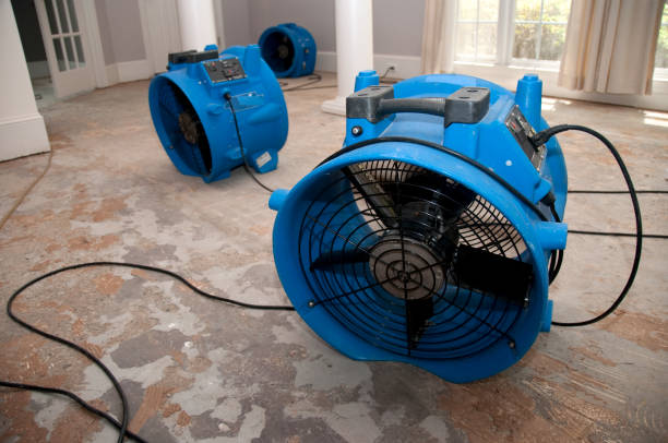 Best Water damage restoration company  in Terryville, NY