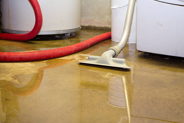Best Water damage contractors near me  in Terryville, NY