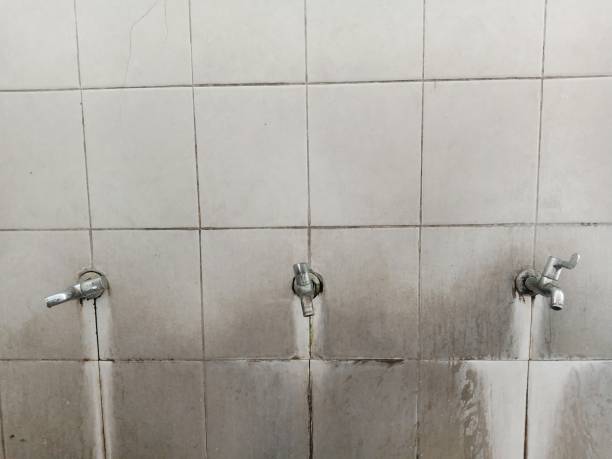  Terryville, NY Water damage restoration Pros