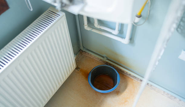 Best Water damage restoration mold remediation  in Terryville, NY