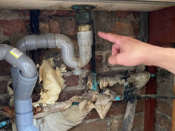 Best Professional water damage repair  in Terryville, NY